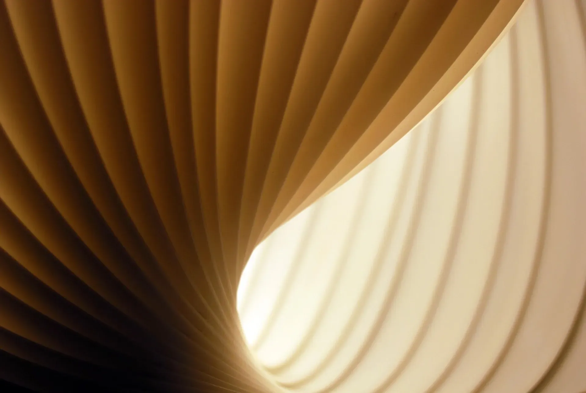 Modern LED Decorative Lamps — Sculptural pieces that double as decor.